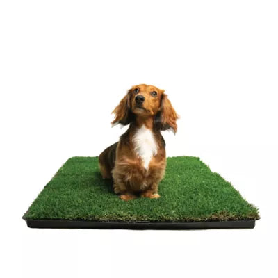 Banner image for: <h3>GRASS WOOFPAD</h3>