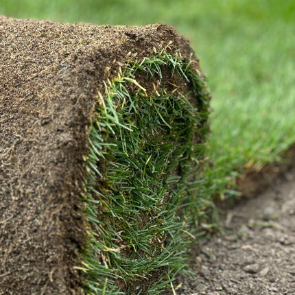 Woofpad Yard Large (75 × 90 cm)