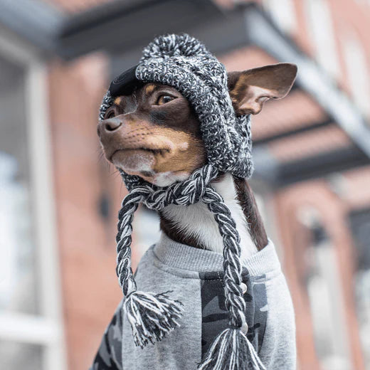 Banner image for: <h2>WOOF ACCESSORIES</h2>