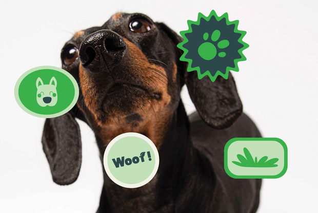 Banner image for: <h2>ORDER YOUR PAD NOW</h2>